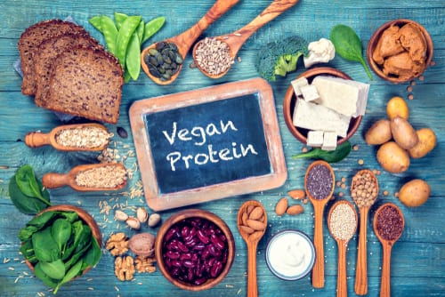 Vegan protein sources (beans, tofu, legumes, grains, etc.)